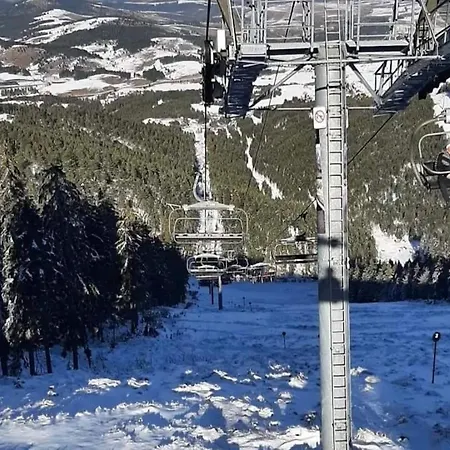 Koreni Zlatibor