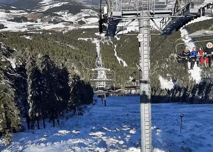 Koreni זלאטיבור